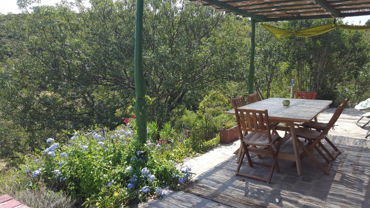 La Loubiere, Ancienne Bergerie En Pleine Garrigue Bed & Breakfast Fraisse-des-Corbieres Exterior photo